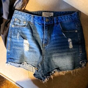 5/20 Love Tree Denim shorts